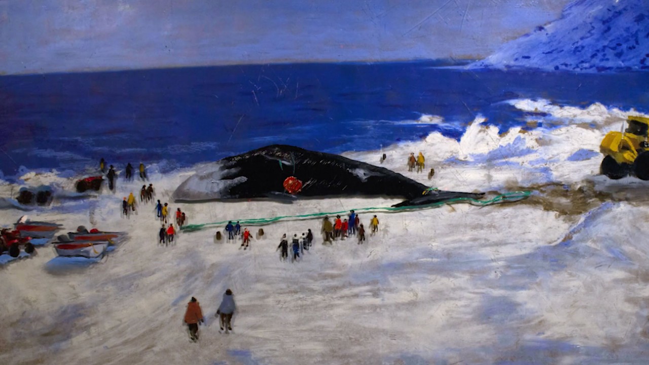 Video] ▸ qaummatitsiniq nunarjuamit qaujimajakkanik: Whale Hunt